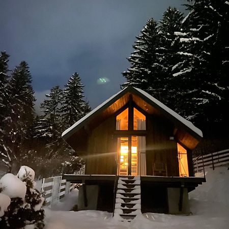 Bramble Tiny House Villa Zărneşti Eksteriør billede