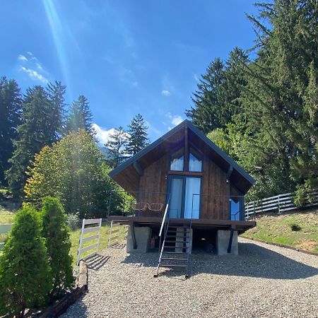 Bramble Tiny House Villa Zărneşti Eksteriør billede