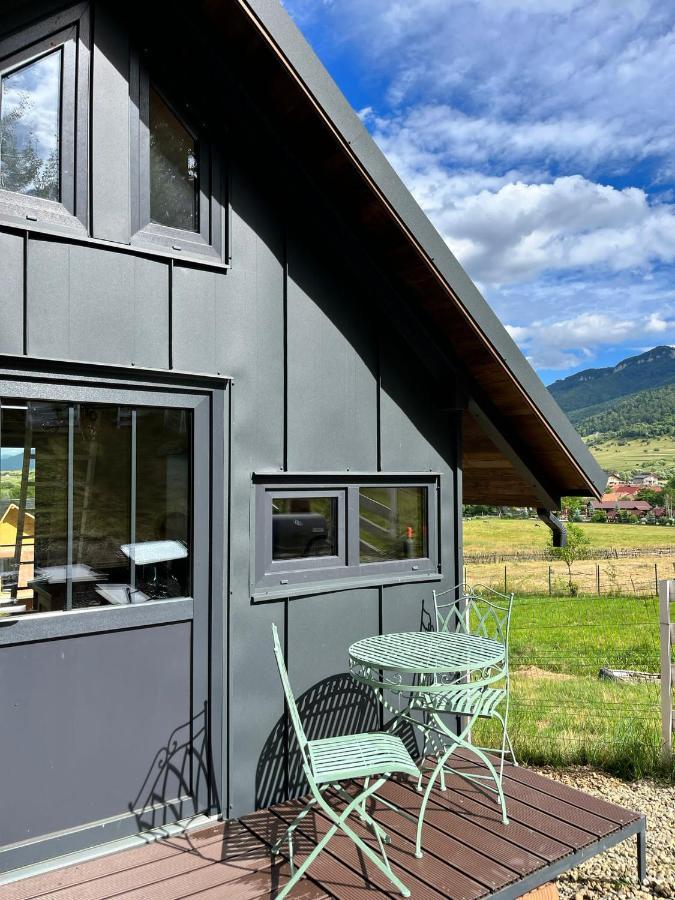 Bramble Tiny House Villa Zărneşti Eksteriør billede