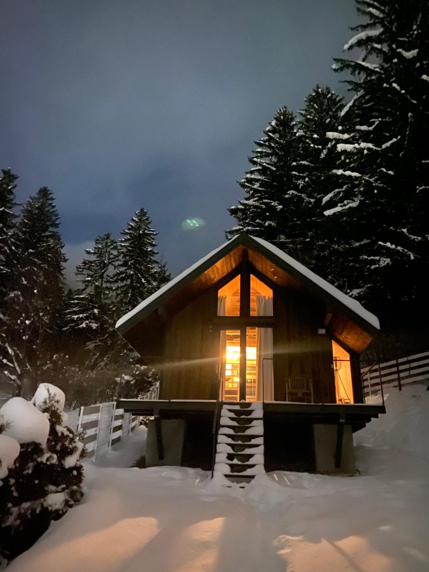 Bramble Tiny House Villa Zărneşti Eksteriør billede