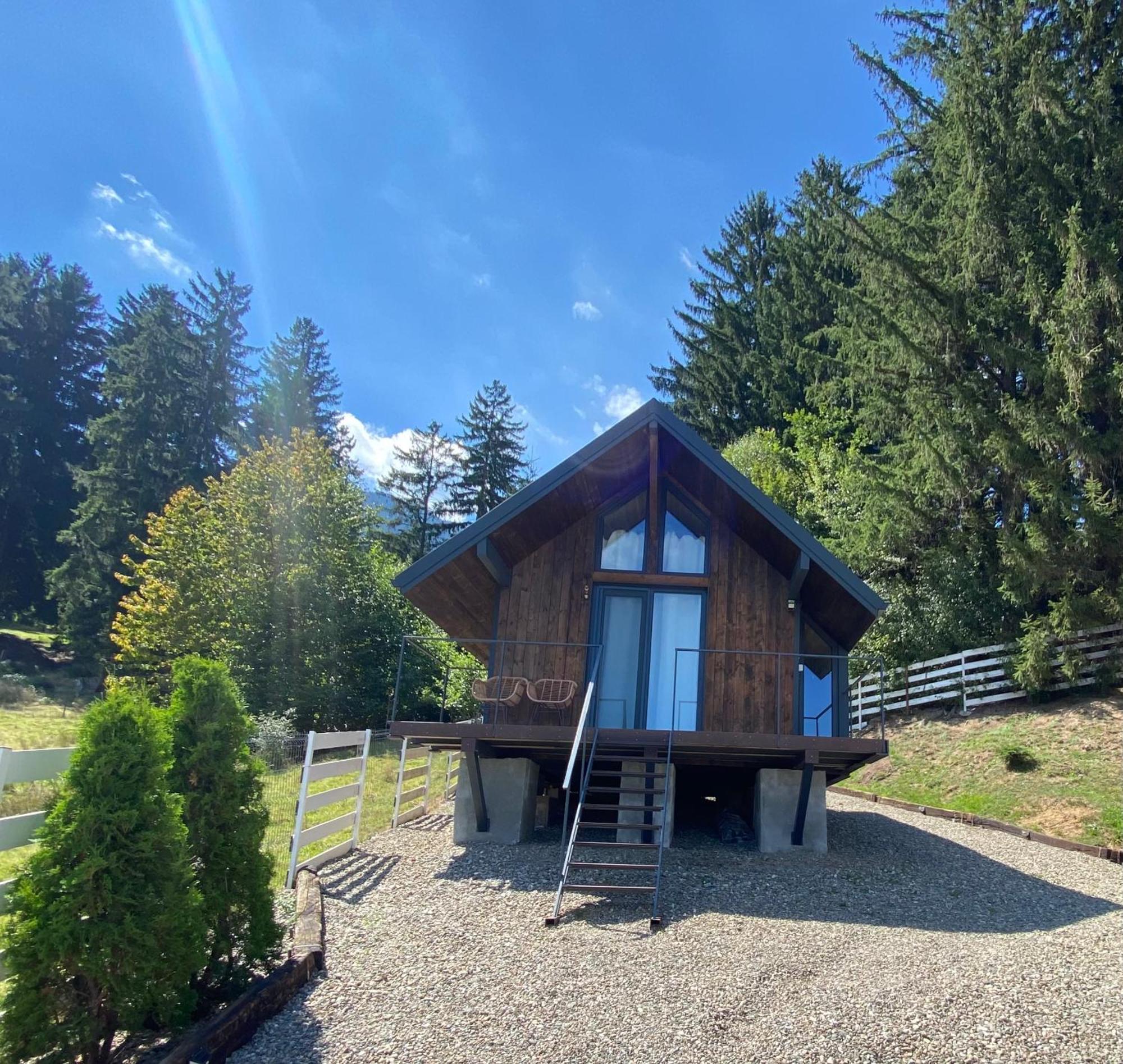 Bramble Tiny House Villa Zărneşti Eksteriør billede